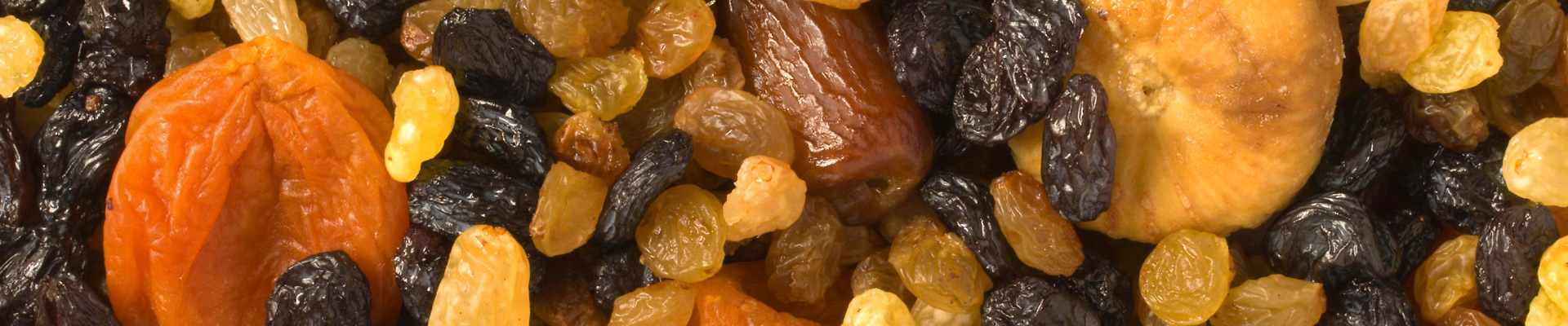 header frutta disidratata