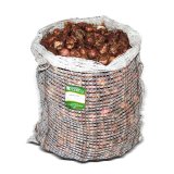 Lampascioni sacco 25kg